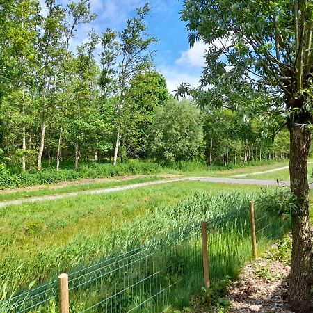 Wellnesshuis Met Hottub, Ligbad En Grote Tuin Tzummarum Exterior foto
