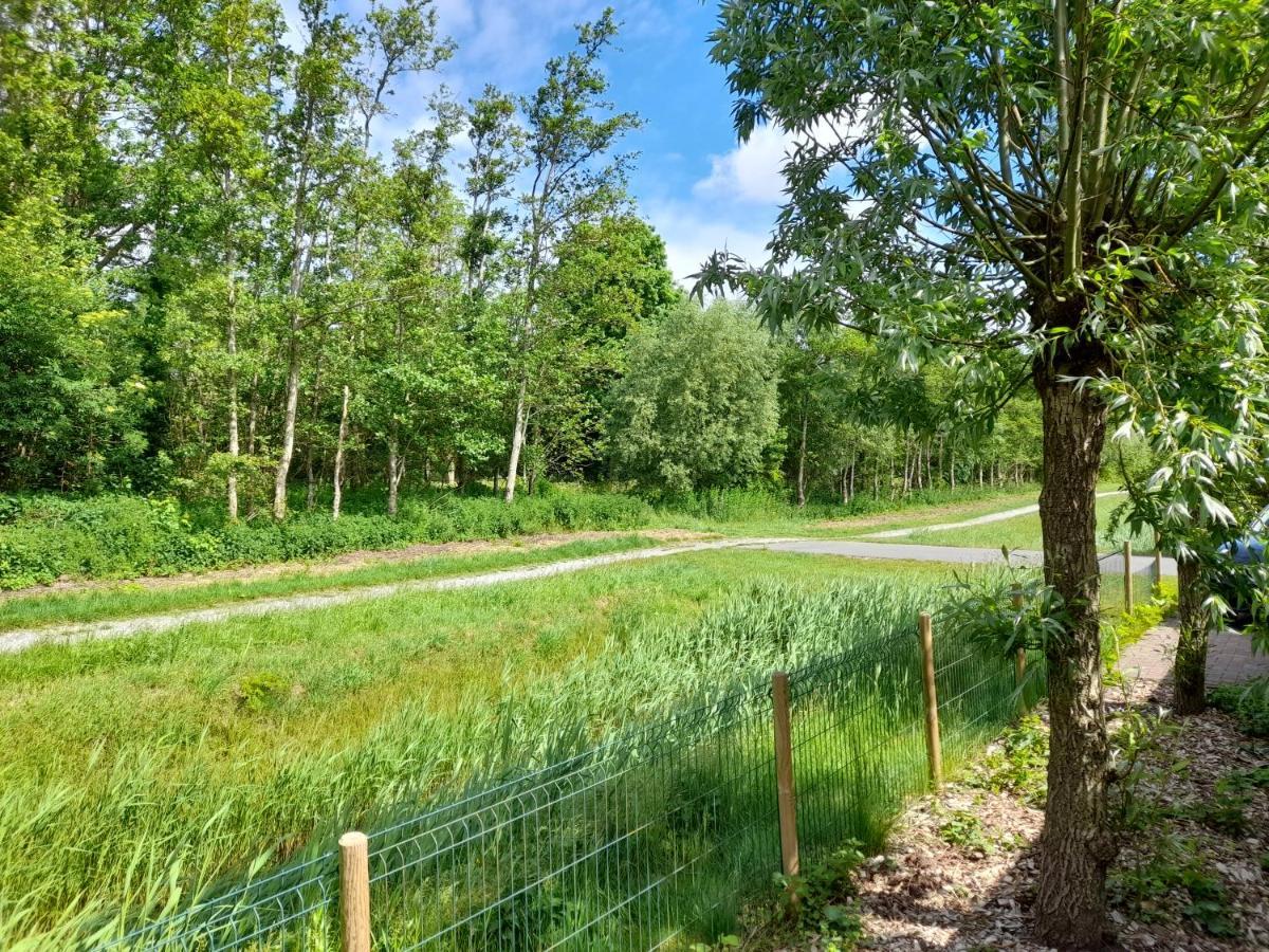 Wellnesshuis Met Hottub, Ligbad En Grote Tuin Tzummarum Exterior foto